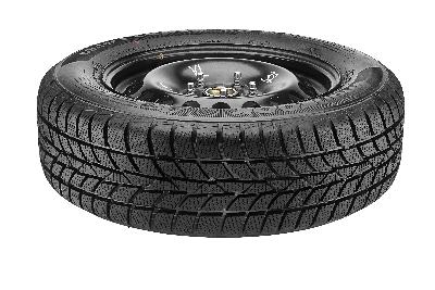 Hankook Winter i*cept RS (W442)